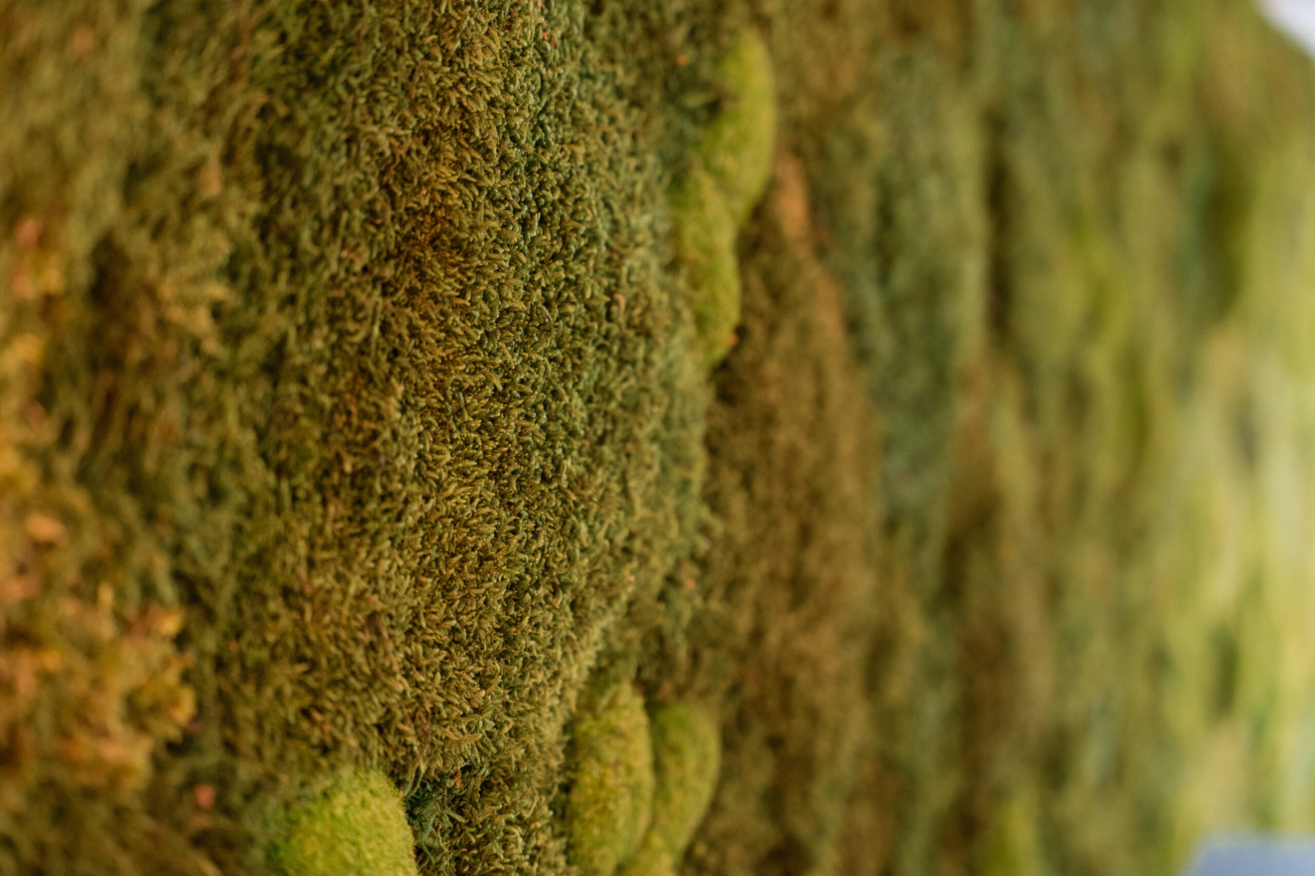 DSC09205_©Brandnamic